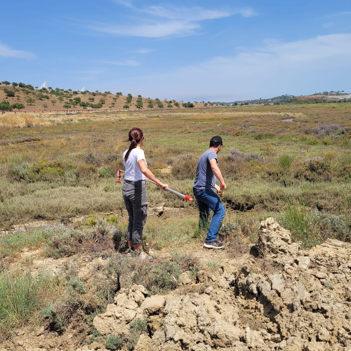 Heading into the surrounding salt marsh — the halophyte habitat at the heart of the Blue Carbon study.